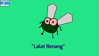 Lalat Renang #lalat #anakmuslim #animasi