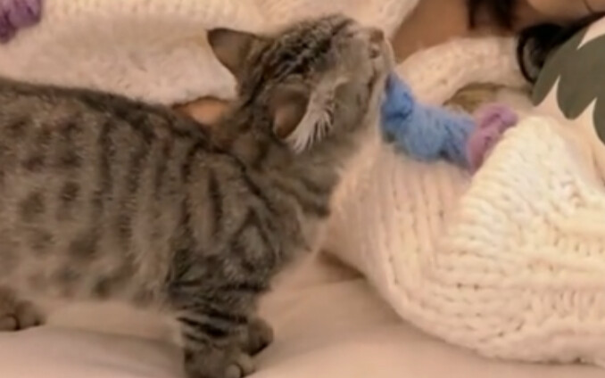 A loving mother and a filial son—so touching!