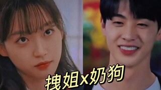 【周锡京x陈善浩】拽姐和奶狗也不是不可以