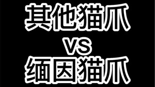 Do Maine Coon paws really exist?