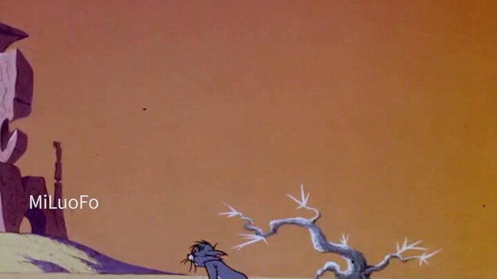 Tom: The flying flowers have fallen, and the deep affection of the past has long gone to waste.
