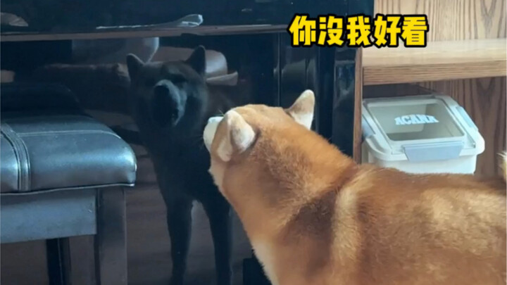 The first time I've ever met someone who makes me this angry.