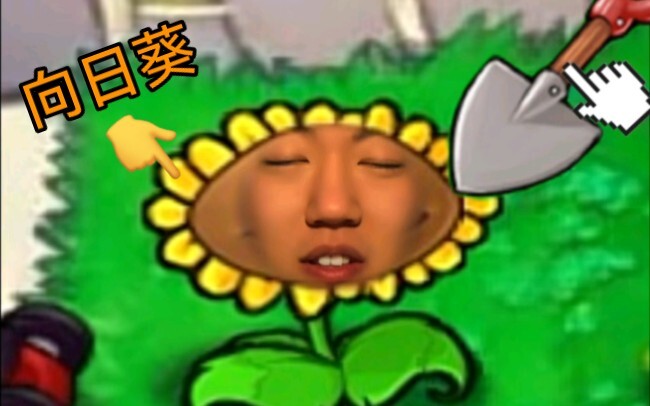 《 向 赴 死 者 致 敬 》