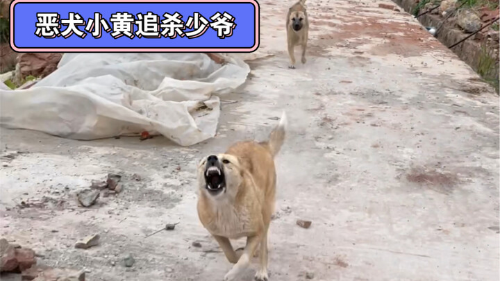 Tuan Muda Kembali Episode 3 - Balas Dendam