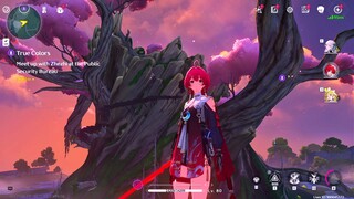 Wuthering Waves In Game Play || Danjin ✨