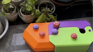 เพาะเห็ดพิษชุดหนึ่งมาให้ทุกคนดู