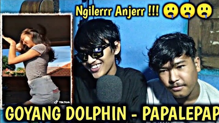 REACTION TIKTOK DOLPHIN DANCE - PAPALE SLOWINGDOWN !!