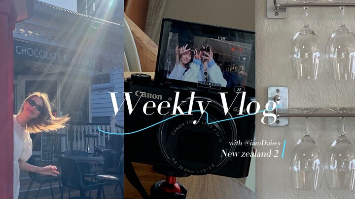 ความฝันไปเก็บองุ่นที่ไร่องุ่นเป็นจริงแล้ว! ทัวร์หนึ่งวันที่ไร่องุ่นฮอว์กส์เบย์ — Brunch สุดฮิตในนิวซ