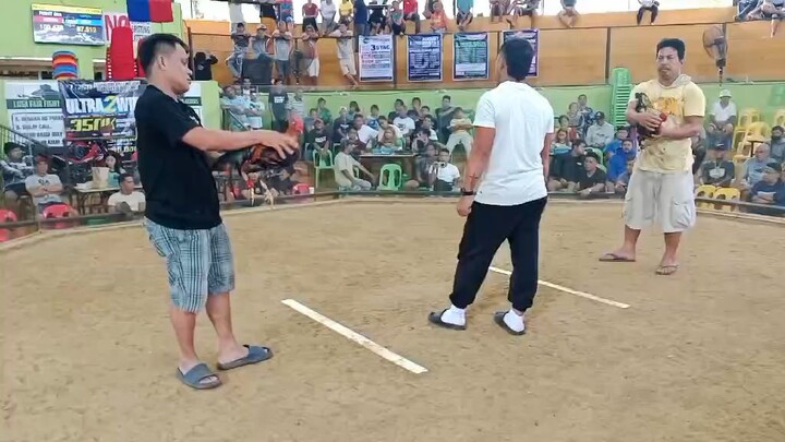 1xwinner lumbia 2wins champikn