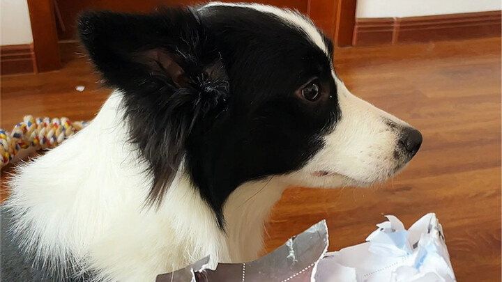 คุณลุงเริ่มศึกษาฟิสิกส์ควอนตัมแล้ว…