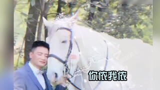 Hóa ra động vật cũng không có ý thức về ranh giới, con bò sữa tranh thủ lúc chủ nhân đi vệ sinh để t