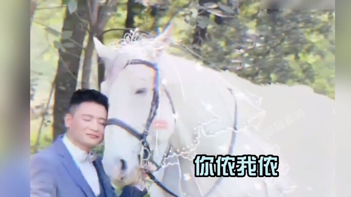 It turns out animals can also lack a sense of boundaries—this cow ambushed its owner while he was us