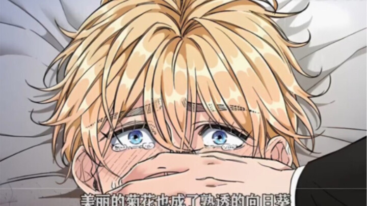 美丽的菊花，变成了成熟的向日葵！美丽的菊花，变成了成熟的向日葵！