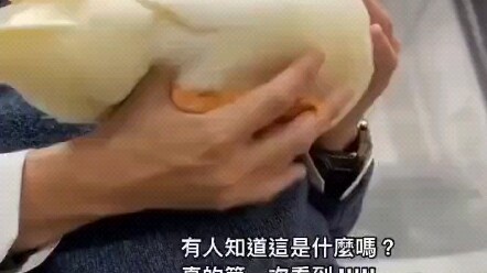 Just in case you've never seen a duck's XXX