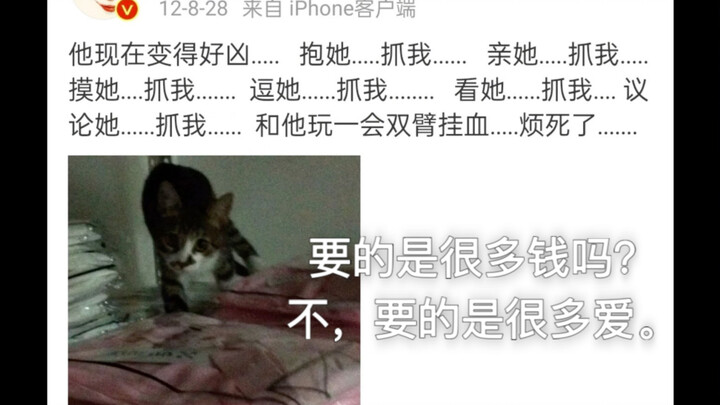 Kisah Xue Zhiqian dan kucingnya, Bao Bao | Dibesarkan dari hidup mengembara sejak kecil hingga menja