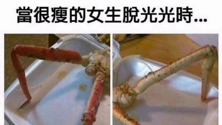 (Ảnh chế hài hước trên mạng)