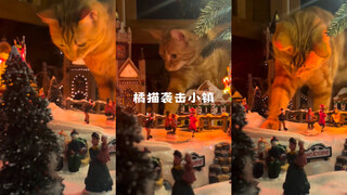 โปรดระวัง‼️ คาดว่ามีแมวส้มบุกเมืองเล็กๆ🤣