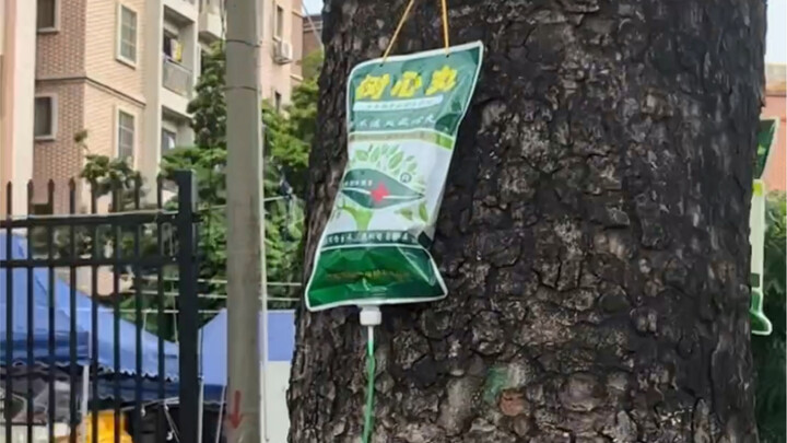 Maybe I should take a different path and find the heart-soothing pill of reconciliation.