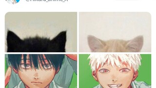 نيكو =^･ω･^=