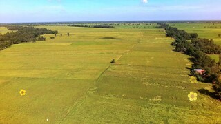 Cô Thắm Về Làng - Phần 2 - Tập 4