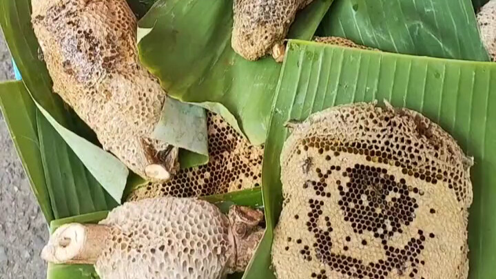 อาหารไทย: ของขวัญจากป่าธรรมชาติ น้ำผึ้งรังผึ้งหวานละมุน รสชาติแห่งธรรมชาติ