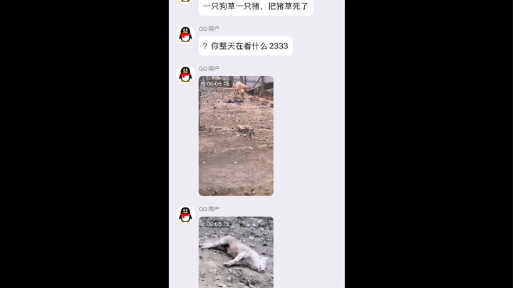 不是，现在动物界也这么逆天了？