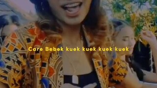 care bebek  kuek kuek *song viral*