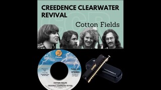 Cotton Field - Creedence - Harmonica