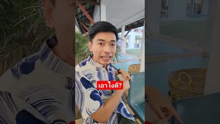 ยะใดดีกำนี้? #อ้ายติ๊กบะดาย #ภาษาเหนือ