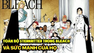 (Đường Tới Đại Chiến Quincy) Toàn Bộ Thành Viên Của Sternritter Và Sức Mạnh Của Họ (Bleach)