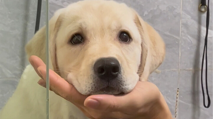 She seems to know she's cute.