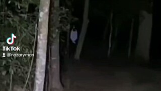 Ghost Caught On Livestream