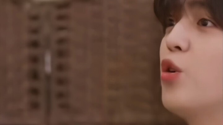 “13 Lively Expressions from SEVENTEEN’s ‘Next Level’”