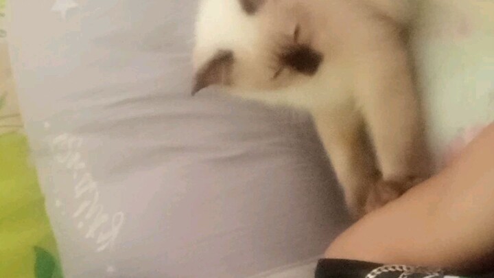 nana ko feeling shaman hahaahahh