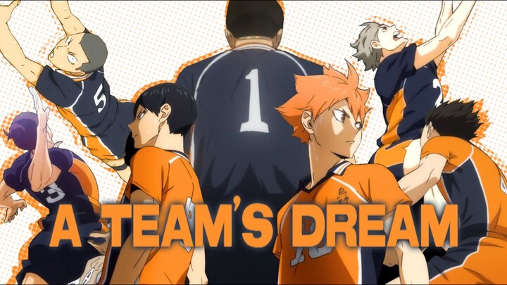 A TEAM´S DREAM - HAIKYUU!! ASMV/AMV