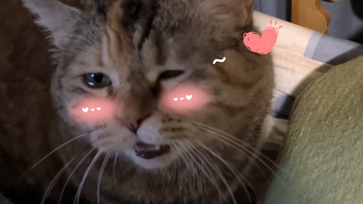 ก่อนออกขอทานต้องอุ่นเสียงก่อน!