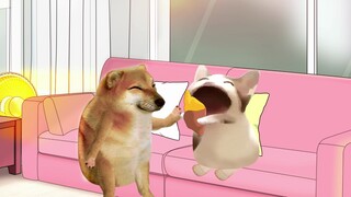 Talk to him nicely