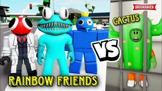 CACTUS ET RAINBOW FRIENDS DANS BROOKHAVEN ... ! ROBLOX - BROOKHAVEN RP