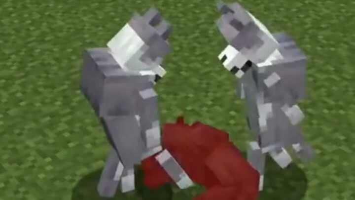 Minecraft: Kalau nonton ini nggak ketawa, berarti udah bisa didiagnosis sebagai pasien vegetatif!