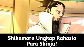 Fakta Menarik Manga Boruto TBV Chapter 17: Shikamaru Ungkap Rahasia Para Shinju