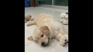 น่ารักกกก🥰