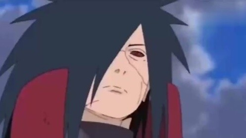 Who is the real ninja?