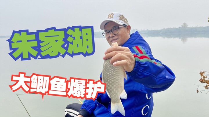 Zhu Jia Lake sees a frenzy of big crucian carp being reeled in—this is the joy of winter fishing for