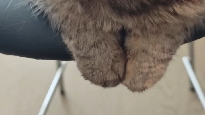 Hello, Mimi, I’d like to touch your hand.