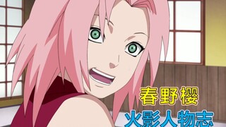 【火影人物志57】从零开始的女主角，春野樱 转粉只需一刻钟！