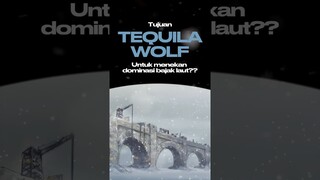 Menurut kalian apa tujuan Tequila Wolf? #onepiece #tequilawolf #teorionepiece #worldgoverment