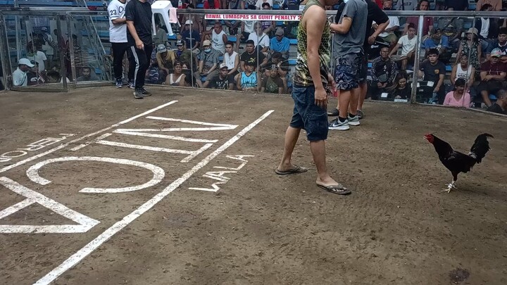 2hits NICA 1st Fight WIN