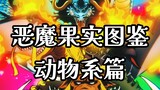 【恶魔果实图鉴】一口气看完所有动物系果实能力者