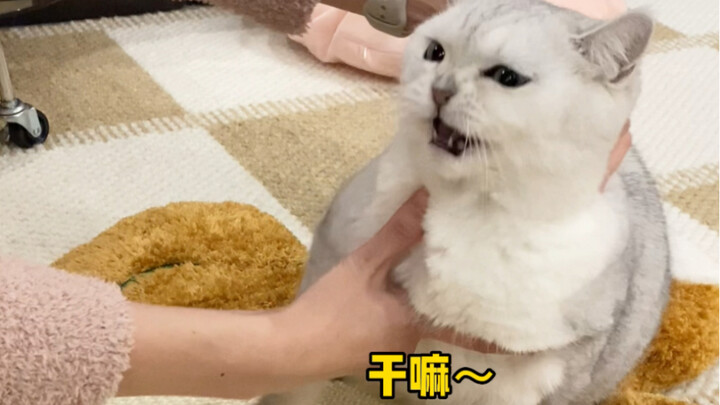 The follow-up is here... What a show!