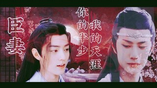 臣妻「忘羡」第二部  太子湛   未婚人妻羡  强取豪夺  第二集
